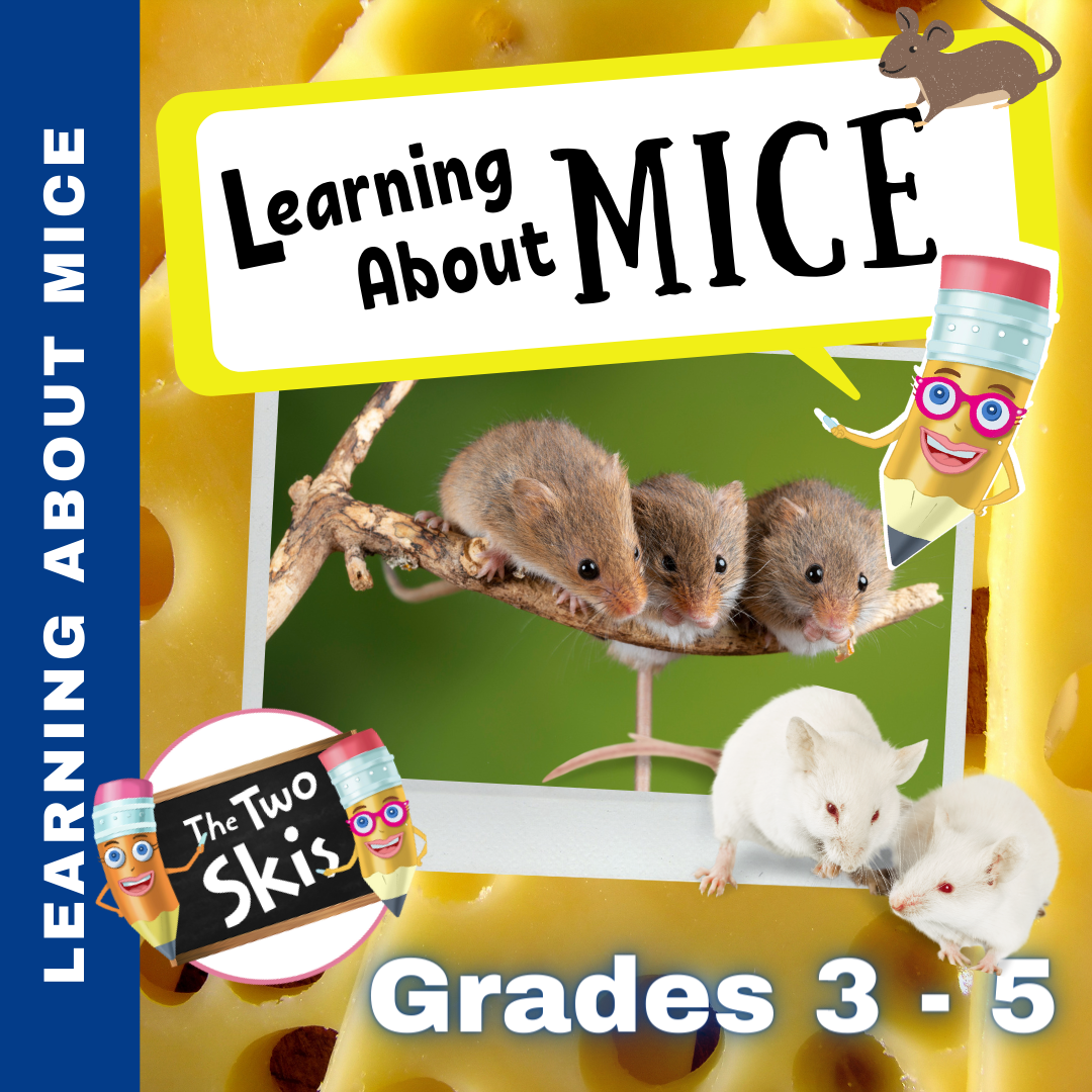 Learning About Mice Grade 3-5