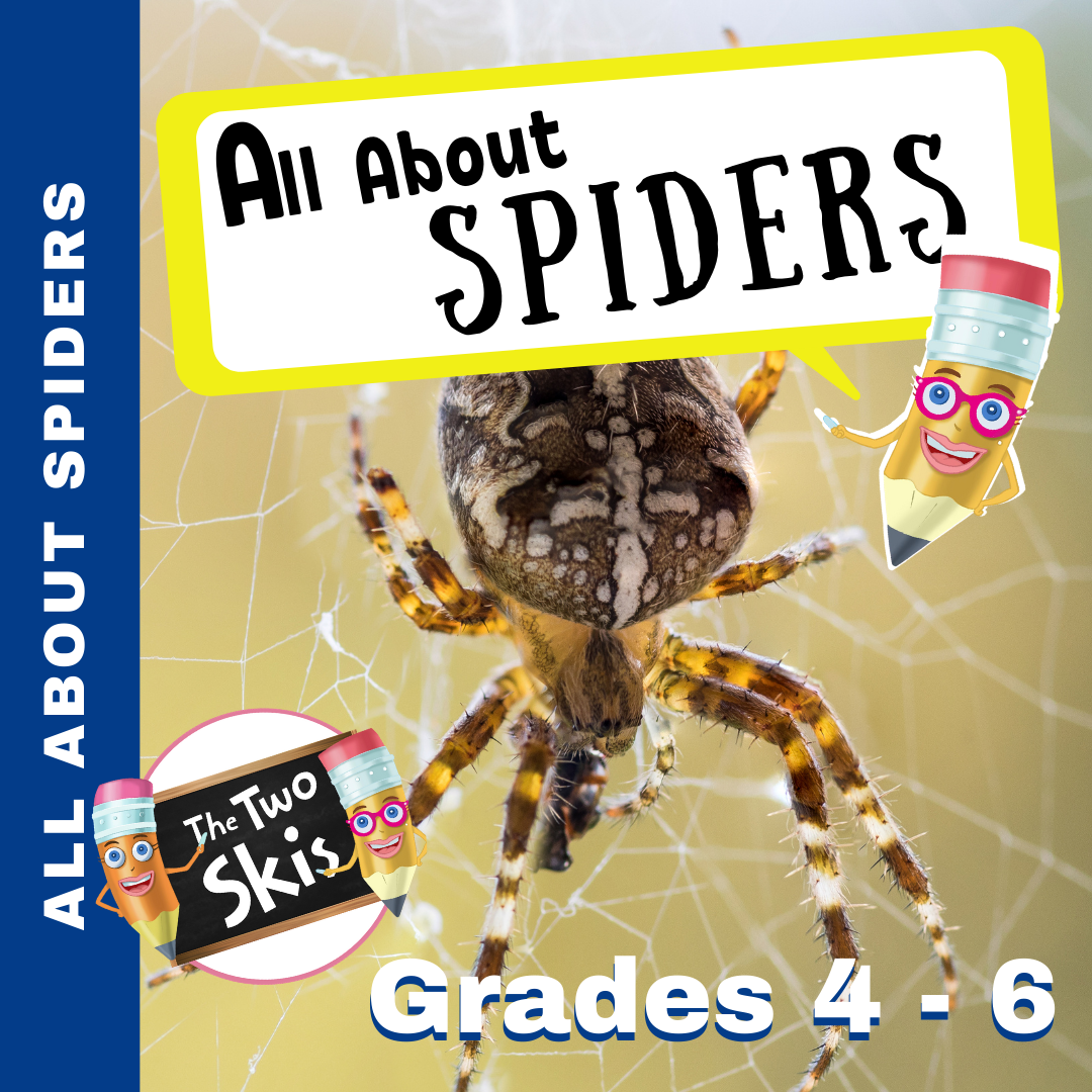 All About Spiders Grade 3-6