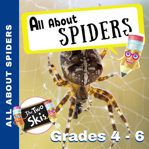 All About Spiders Grade 3-6