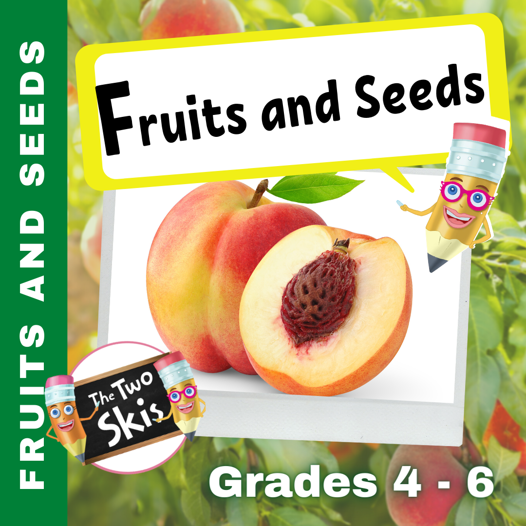 Fruits and Seeds Grades 4-6