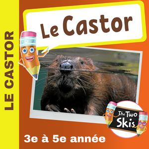 Le Castor 3e à 5e année