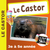 Le Castor 3e à 5e année