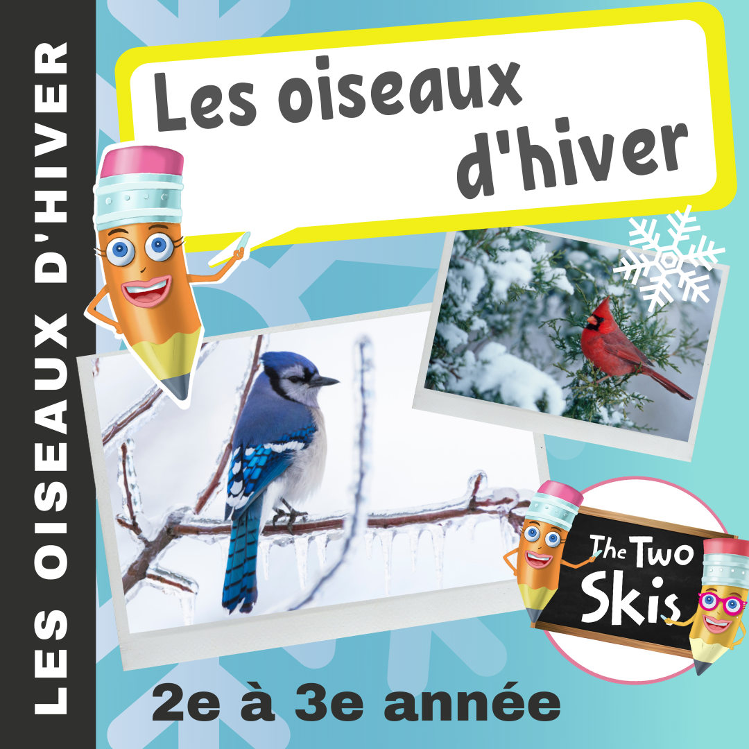 Les Oiseaux d'hiver 2e à 3e année