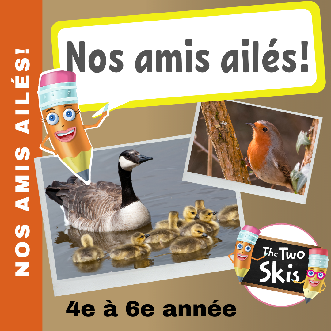 Nos Amis Ailes 4e à 6e année