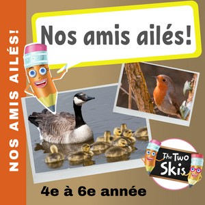 Nos Amis Ailes 4e à 6e année