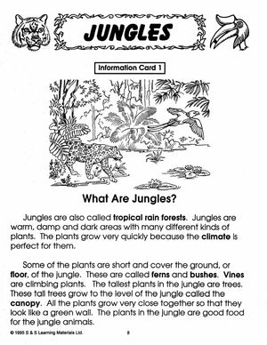 All About Jungles/Tropical Rainforest Grades 2-3