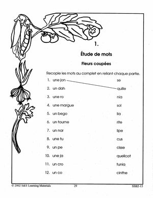 Tout sur les plantes 2e à 3e année