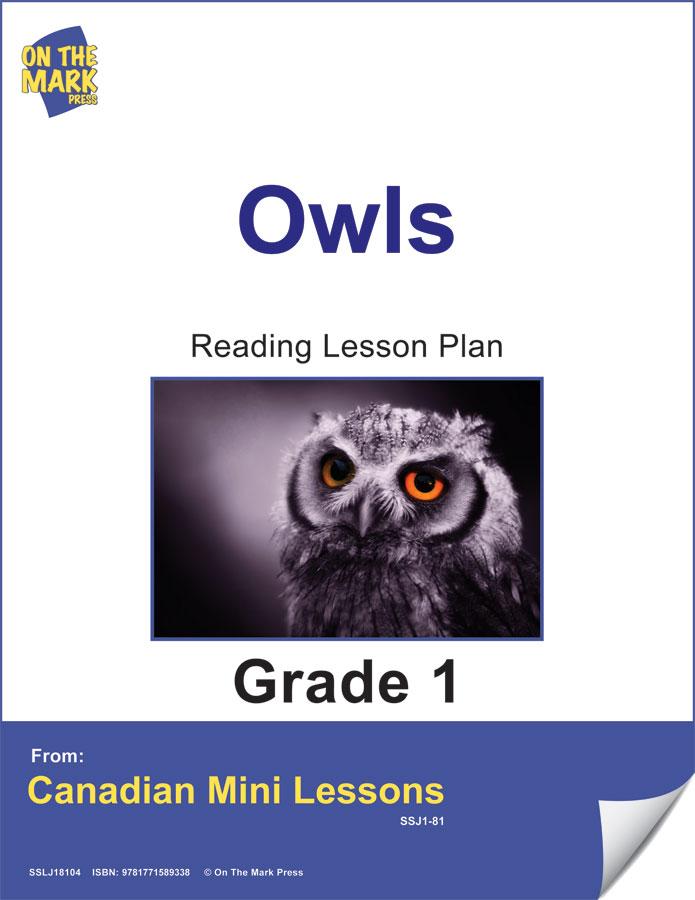 Owls Reading Lesson Gr. 1 E-Lesson Plan