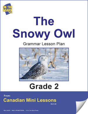The Snowy Owl Writing & Spelling E-Lesson Plan Grade 2