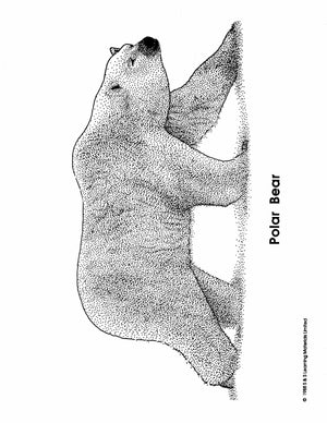 Inuit Black & White Picture Collection Grades K-8