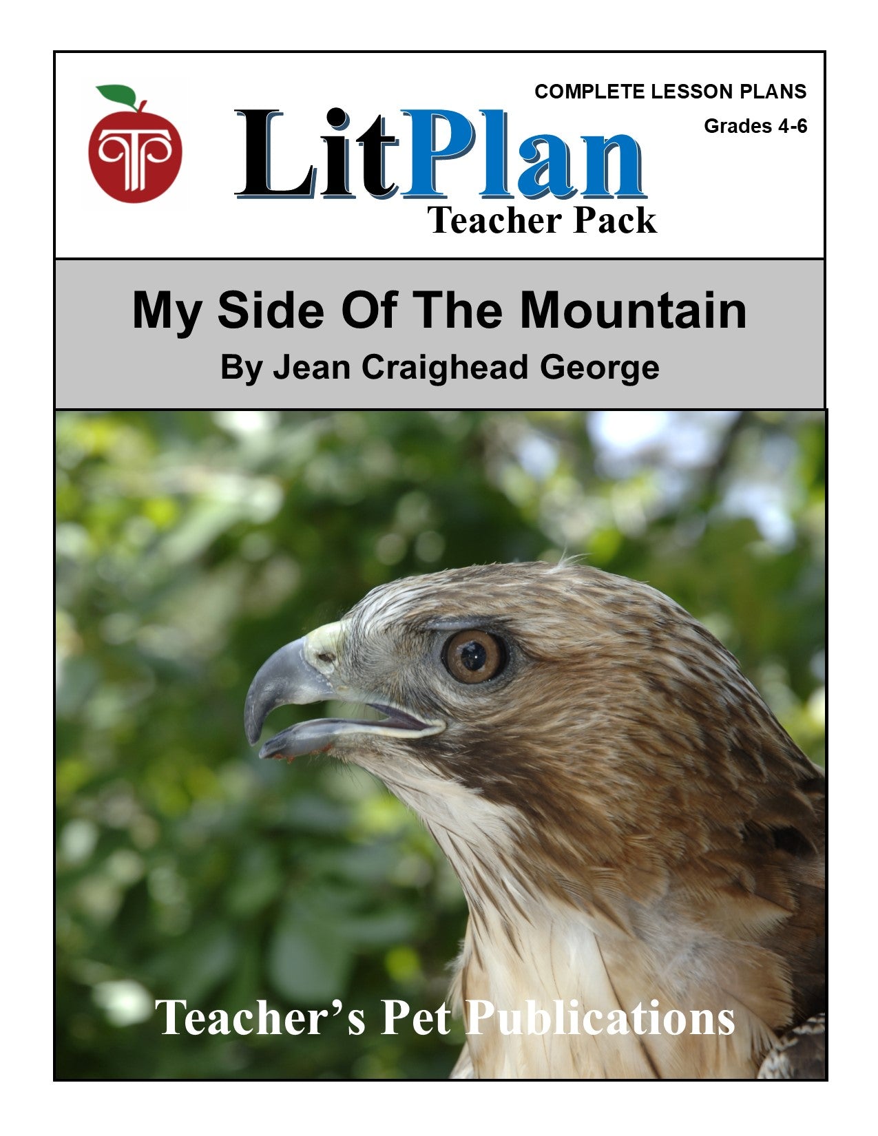 My Side of the Mountain: LitPlan Teacher Pack Grades 4-6