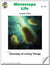 Microscopic Life Lesson Plan Grades 4-6