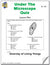 Under the Microscope Quiz Grades 4-6