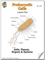 Prokaryotic Cells Lesson Grades 7-8