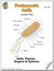 Prokaryotic Cells Lesson Grades 7-8