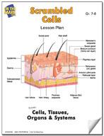 Scrambled Cells Lesson Grades 7-8