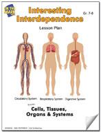 Interesting Interdependence Lesson - Respiratory, Digestive & Cardiovascular Grades 7-8