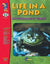 Life in a Pond Grades 3-4
