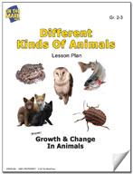 Different Kinds of Animals Lesson Grades 2-3