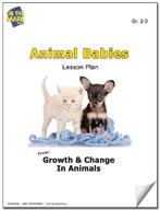Animal Babies Lesson Grades 2-3