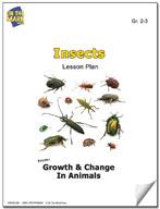 Insects Lesson Grades 2-3