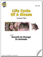 Life Cycle of a Mouse Activity Grades 2-3