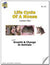 Life Cycle of a Mouse Activity Grades 2-3