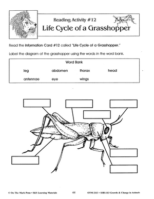 Growth & Change in Animals - Fun Activities Teach Animal LIfe Cycles Grades 2-3