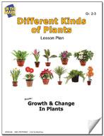 Different Kinds of Plants Lesson Grades 2-3