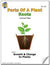 Parts of a Plant - Roots Lesson Grades 2-3