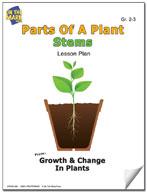 Parts of a Plant - Stems Lesson Grades 2-3