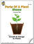 Parts of a Plant - Stems Lesson Grades 2-3