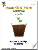 Parts of a Plant - Leaves Lesson Grades 2-3