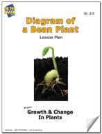 Diagram of a Bean Plant Lesson Grades 2-3