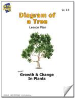 Diagram of a Tree Plant Lesson Grades 2-3