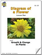 Diagram of a Flower Plant Lesson Grades 2-3