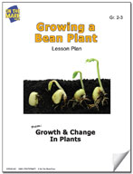 Growing a Bean Plant Experiment Grades 2-3