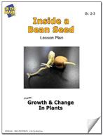 Inside a Bean Seed Experiment Grades 2-3