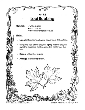 Plant Art Activities Grades 2-3