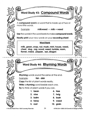 Plant Word Study Activities Grades 2-3