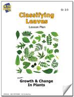 Classifying Leaves Activities Grades 2-3