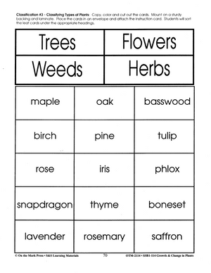 Classifying Plants Activities Grades 2-3