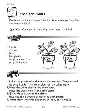 Food Energy Gr. 1-3 Lesson