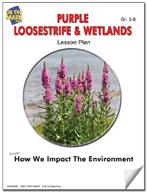 Purple Loosestrife & Wetlands Lesson Gr. 5-8