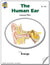 The Human Ear Lesson Plan Grades 4-6