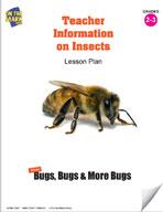 Teacher Information on Insects Grades 2-3