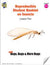 Reproducible Student Booklet on Insects Grades 2-3