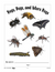 Reproducible Student Booklet on Insects Grades 2-3