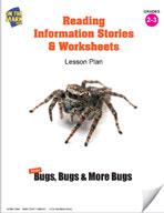 Reading Information Stories and Worksheets on Insects Grades 2-3