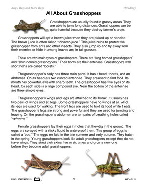 Reading Information Stories and Worksheets on Insects Grades 2-3